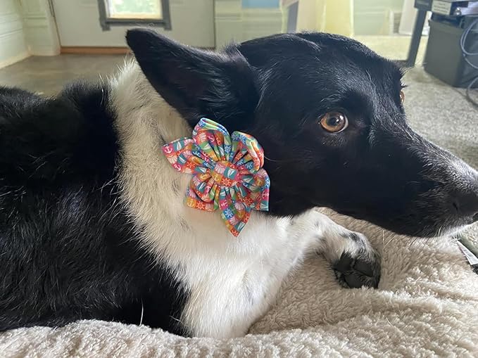 Lionet Paws Design Dogs Collar Cute Flower Dog Collars for Girl Female Small Medium Dogs with Colorful Sailboat XS