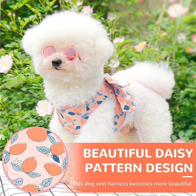 BAEJMJK Dog Harness and Leash Set with Bow Knot No Pull Pet Floral Harness with D-Ring Soft Mesh Dog Harness Vest Set Escape Proof Princess Puppy Harness for Small Girl Dogs Cats(Orange L)