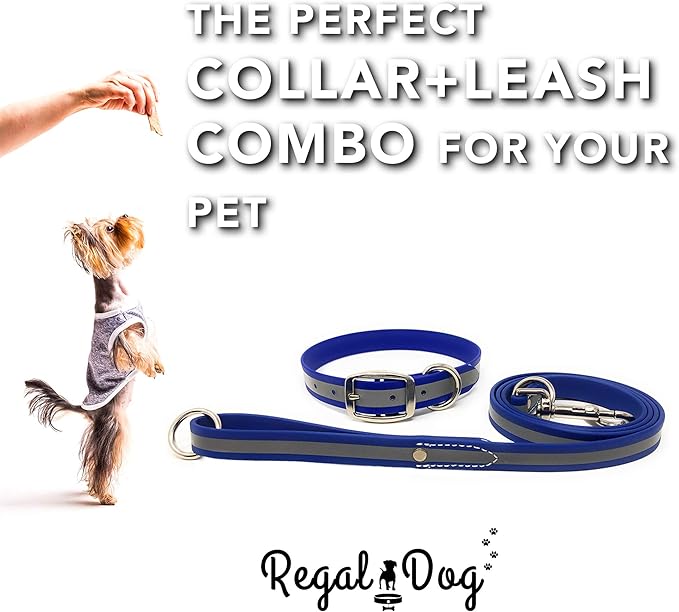 Regal Dog Products Heavy Duty Reflective Dog Collar – Adjustable with Metal Buckle and D Ring, Chew Resistant, Waterproof Dog Collar for Small Medium and Large Dogs (Medium Collar and Leash, Blue)