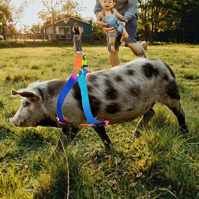 2 Pieces Adjustable Pig Harness with Leash Set Pet Pig Supplies Harness with Leash Set for for Hog Piggy Rabbit Small Animals Walking Jogging (S, Multicolor)