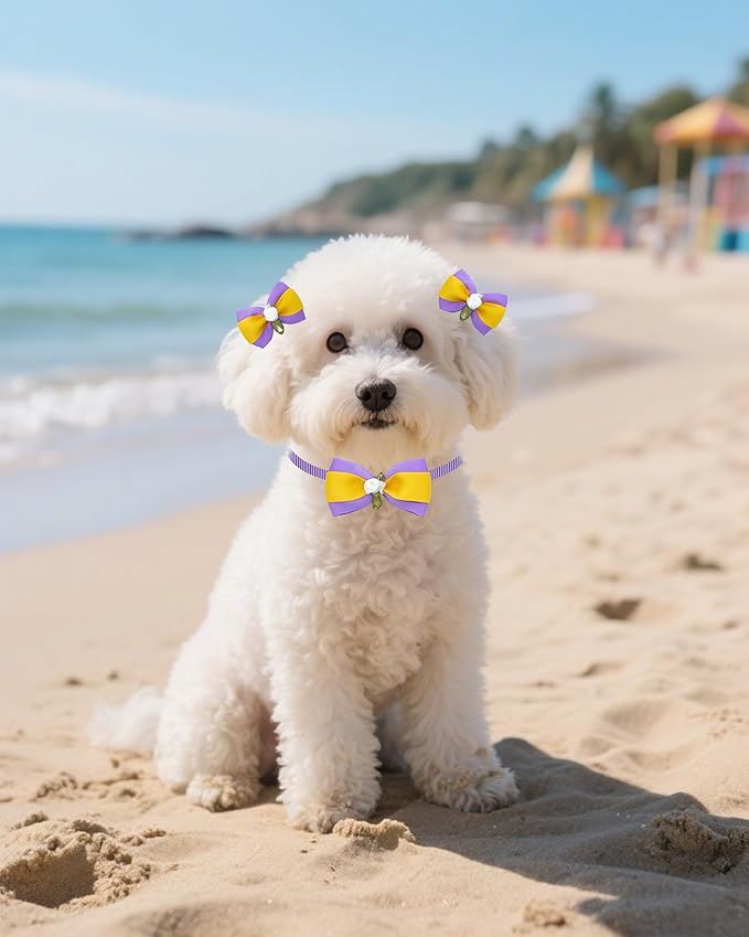 PET SHOW 60 Pack 20 Set Small Dog Hair Bows with Rubber Bands and Bowties for Dogs Boys and Girls Adjustable Pet Collar Bow Ties Hair Grooming Accessories Assorted