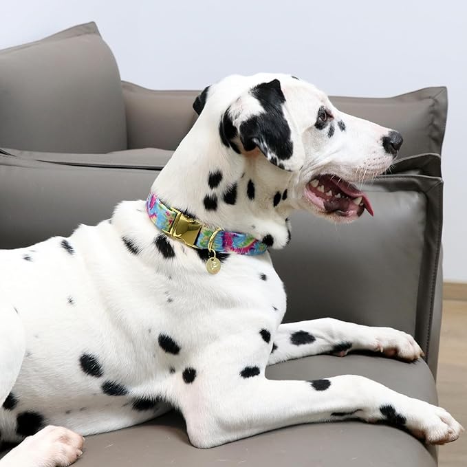 Tie Dye Summer Cotton Dog Collar with Metal Buckle Gift Collar for Small Medium Large Girls or Boys Dogs Cute Durable Comfortable Pet Collars