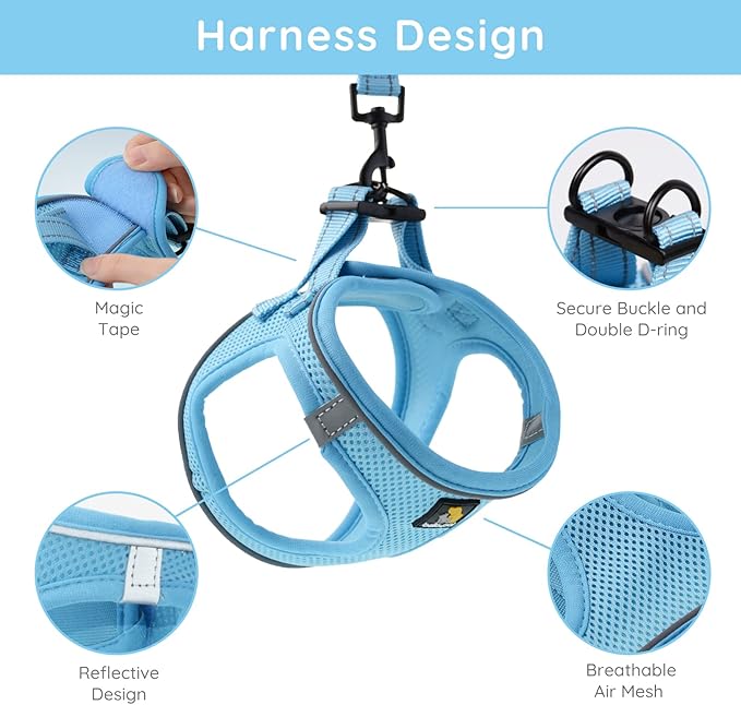 BELLA & PAL Puppy Harness with Leash Set, Dog Harness for Small Dogs No Pull, Dog Leash for Small Dogs, Step in Harness for Extra Small Dogs, Blue Harness, S