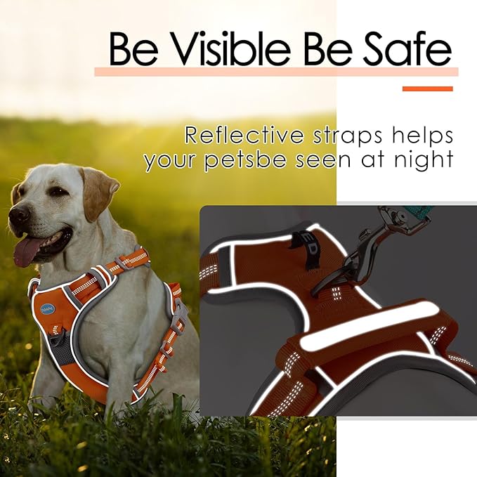 ThinkPet No Pull Harness Set Breathable Sport Harness with Handle - Reflective Padded Dog Safety Vest with Reflective Neon Dog Leash XL Harness Leash Pack Orange