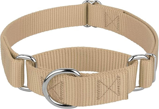 Country Brook Petz Martingale Dog Collar - Heavy-Duty Training Collar with No Buckle - Service Dog Collar for All Pups - Vibrant, Colorful Collection (Copper Gold, 3/8 Inch, 2XS)
