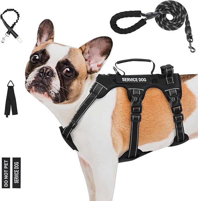 Escape Proof Dog Harness for Large Medium Sized Dogs Six Point Adjustable, Service Dog Vest Harness and Leash Set, No Pull Dogs Harnesses with Handle, Medium Dog Harnesses for Walking(Black, S)