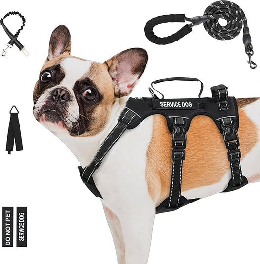 Escape Proof Dog Harness for Large Medium Sized Dogs Six Point Adjustable, Service Dog Vest Harness and Leash Set, No Pull Dogs Harnesses with Handle, Medium Dog Harnesses for Walking(Black, S)