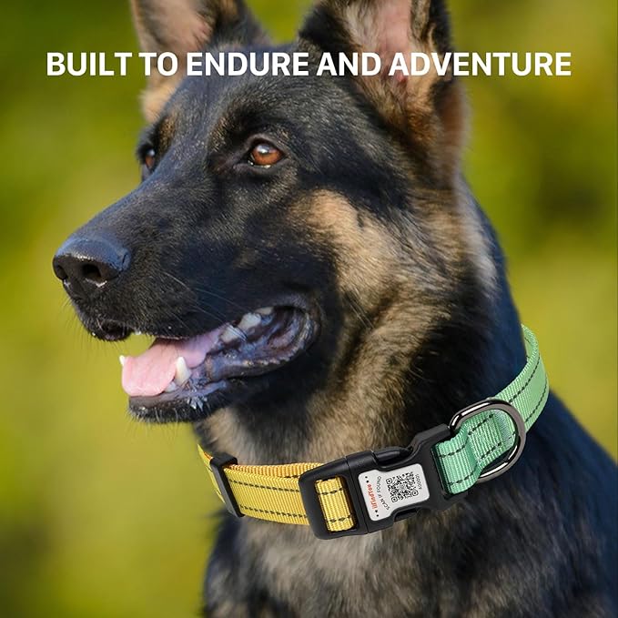 Reflective Dog Collars for Medium Dogs Soft Nylon Green-Orange Gradient Sized S