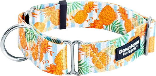 Downtown Pet Supply - Martingale Collar for Dogs - Dog Training Collar - Big, Wide & Thick Dog Collar - Escape-Proof, Weatherproof, Durable and Comfortable - Pineapple - Medium Dog Collar
