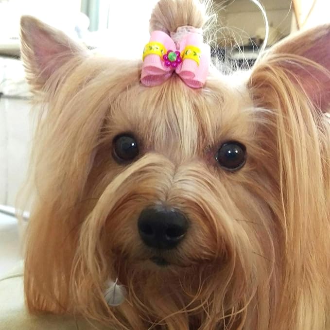 PET SHOW 50pcs Small Dog Hair Bows with Rubber Bands for Medium Dogs Puppies Cats Kittens Rabbits Topknot Grooming Costumes Hair Accessories