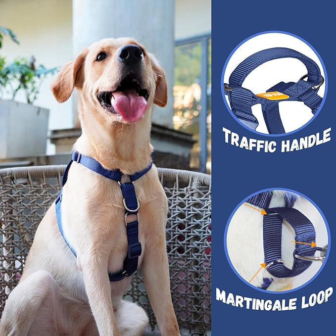 DF Martingale No Pull Dog Harness and Two Point Control Training Leash for Dog Walking Only Works with Martingale Harnesses, Dark Navy Blue, Chest 22"-28"