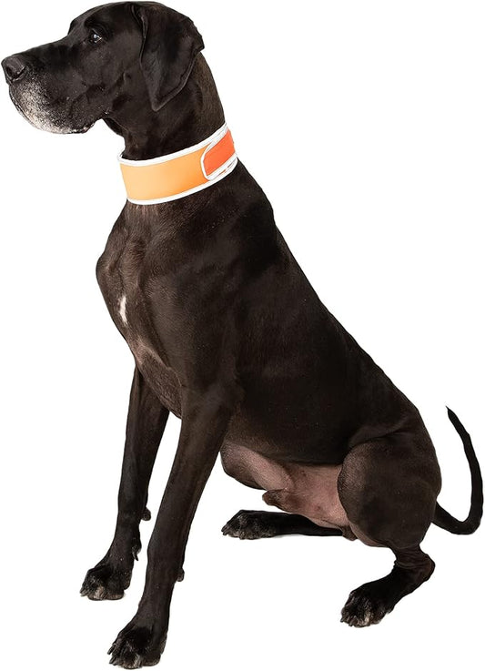 Hi-Vis Dog Cooling Collar - Orange Reflective Re-Freezable Ice Collar (X-Large)
