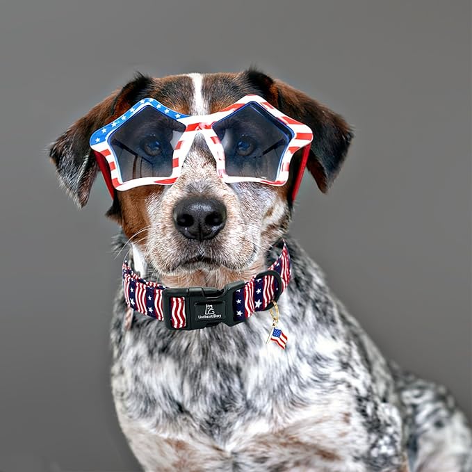 Lionheart glory American Flag Dog Collar-4 of July Patriotic Independence Day Dog Collar Heavy Duty Adjustable Dog Collars for Large Dogs Pet Gift Summer Collars