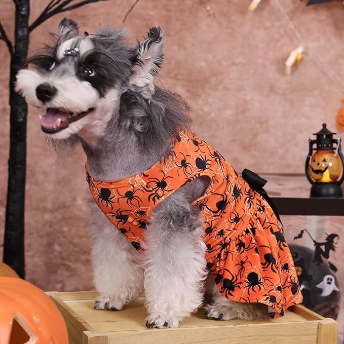 CuteBone Halloween Dog Dresses Velvet Holiday Small Dogs Clothes Onesie Pet Apparel Girl Puppy Skirt with Bow Hair Rope CVA46S