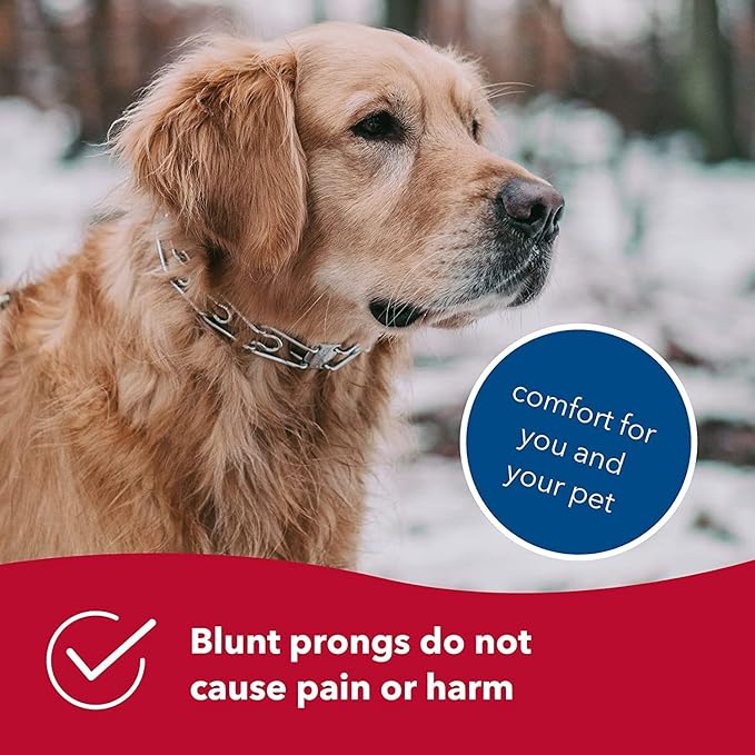 Herm SPRENGER Ultra-Plus Prong Dog Training Collar, 2.25 mm x 13" Neck Size, 16" Chain Length, Steel Chrome Plated Dog Prong Collar, Pinch Collar for Dogs, Dog Correction Collar