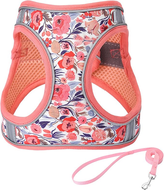 XS Peach Flower Pattern Dog Harness and Leash Set,No Escape Puppy Harnesses for Training Walking,Breathable Adjustable Puppy Vest for Small Medium Dogs, Cats (Peach, XS)