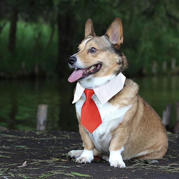 Segarty Bow Tie Dog Collar, 6 Pieces Adjustable Pets Dog Cat Neck Ties Pet Necktie with Suit White Collar for Medium Large Dogs Tuxedo Costumes Grooming Accessories, Dog Tux Ties for Wedding