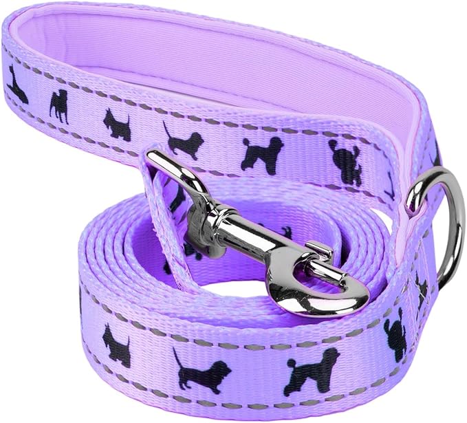 EcoBark Dog Leash - 4 FT / 5 FT / 6 FT Reflective Dog Leash- Eco-Bright Dog Leashes with Padded Handle - Strong Heavy Duty Dog Leash - Nylon Dog Leash for Small and Medium Dogs (Lavender Dog Leash)
