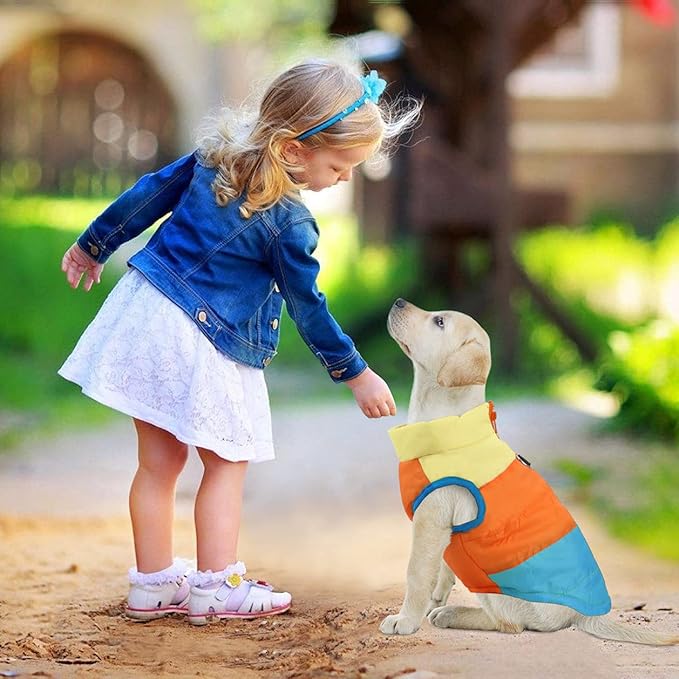 Idepet Pet Dog Cat Coat with Leash Anchor Color Patchwork Padded Puppy Vest Jacket Teddy Chihuahua Costumes Pug Cloth XS S M L (Large (Pack of 1), Sky Blue)