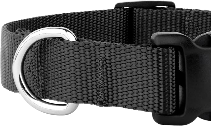 Country Brook Petz - American-Made Dog Collar for Large, Medium, and Small Dogs and Puppies - Deluxe Heavy Duty Nylon in 33 Dazzling Colors (Medium, 3/4 Inch Wide, Black)