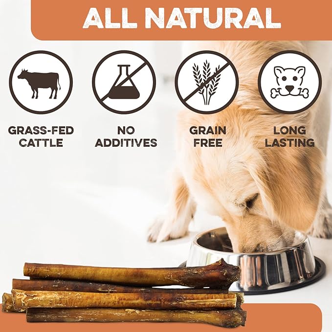BRUTUS & BARNABY Jumbo Bully Sticks for Large Dogs - (3-Pack) No Hormones Added and Grain Free, Low Odor Bullie, Large, Thick, 12" Bully Bones for Dogs or Puppies