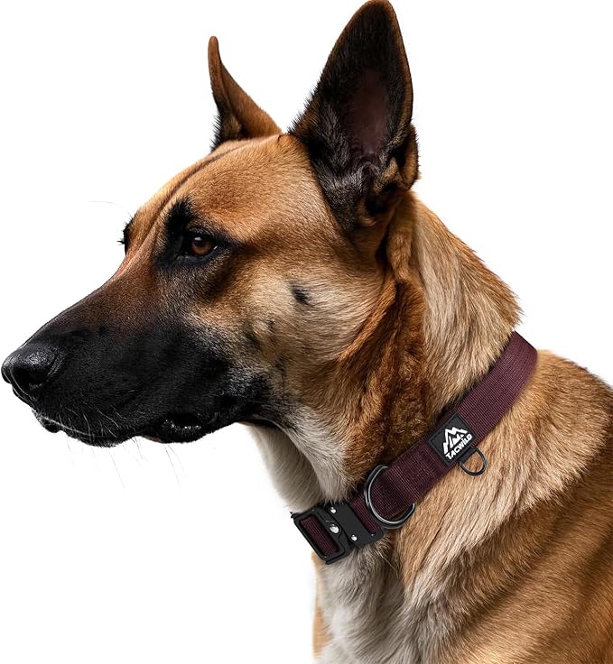 Heavy Duty Dog Collars for Medium and Large Dogs - Adjustable, Chew Proof Nylon Collar with Metal Quick Release Buckle and D-Ring for Dog Tags (Burgundy, L)
