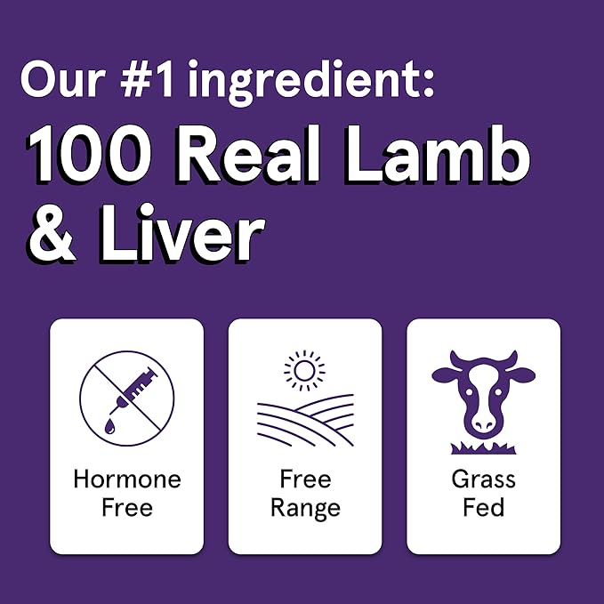 Real Meat Dog Treats - Two 12oz Bag of Bite-Sized Air-Dried Lamb & Liver Jerky for Dogs - Grain-Free Jerky Pet Treats Made up of 95% Free-Range, Grass Fed Lamb - All-Natural Treats
