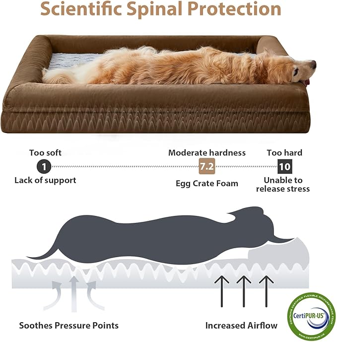 WNPETHOME Washable Dog Beds Large Sized Dog, XL Dog Couch, Orthopedic Dog Sofa Bed with Removable & Waterproof Cover, Extra Large Dog Bed with Bolster Sides for Sleeping, Big Dog Couch Bed with Sides