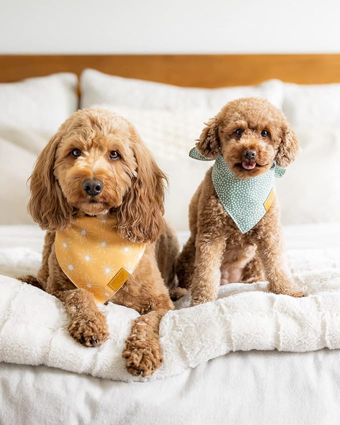 Remy+Roo Small Spring Dog Bandanas - 4 Pack Katherine Set | Premium Durable Adjustable Polyester Fabric Dog Scarfs | Patented Shape Girl Dog Bandana, Trendy Patterns, Floral Dog Bandana