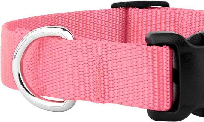 Country Brook Petz - American-Made Dog Collar for Large, Medium, and Small Dogs and Puppies - Deluxe Heavy Duty Nylon in 33 Dazzling Colors (Large, 1 Inch Wide, Pink)
