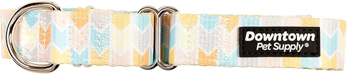 Downtown Pet Supply - Martingale Collar for Dogs - Dog Training Collar - Big, Wide & Thick Dog Collar - Escape-Proof, Weatherproof, Durable and Comfortable - Chevron - Medium Dog Collar