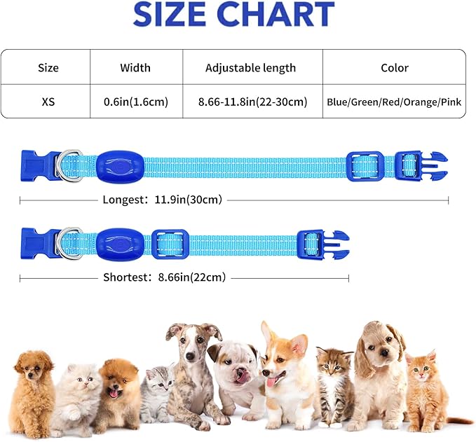 Illumifun LED Collar for Small Dogs - USB Rechargeable Dog Safety Collar Light, Adjustable Nylon Webbing Light Up Collar for Your Pups (Blue, X-Small)