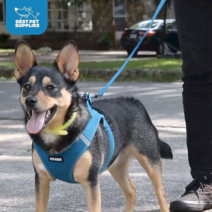 Voyager Step-in Air All Weather Mesh Harness and Reflective Dog 5 ft Leash Combo with Neoprene Handle, for Small, Medium and Large Breed Puppies by Best Pet Supplies - Blue, X-Small