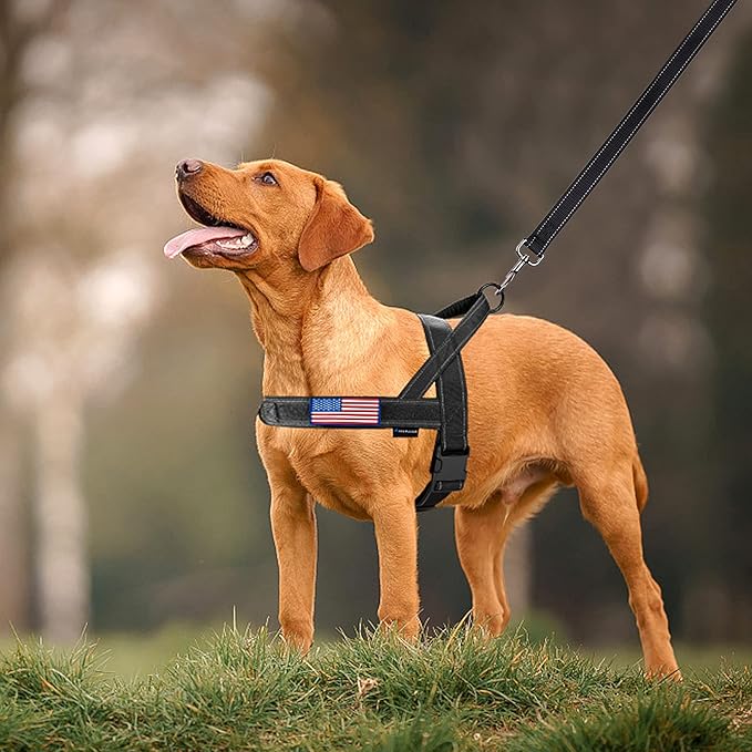 Annchwool No Pull Dog Harness with Soft Padded Handle,Reflective Strip Escape Proof and Quick Fit to Adjust Dog Harness,Easy for Training Walking for Small & Medium and Large Dogs(Black,XS,1 In Width)