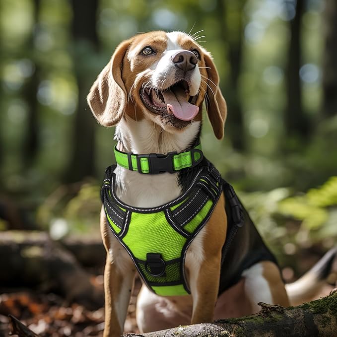 Joytale Reflective Dog Collar,Soft Neoprene Padded Breathable Nylon Pet Collar Adjustable for Extra Large Dogs,Green,XL
