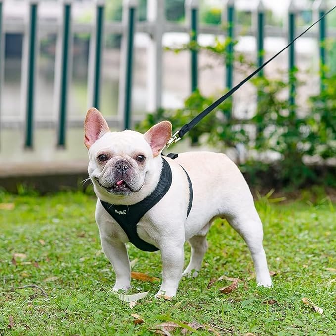 PUPTECK Soft Mesh Dog Harness and Leash Set Pet Puppy Cat Comfort Padded Vest No Pull Harnesses, Solid Black, M