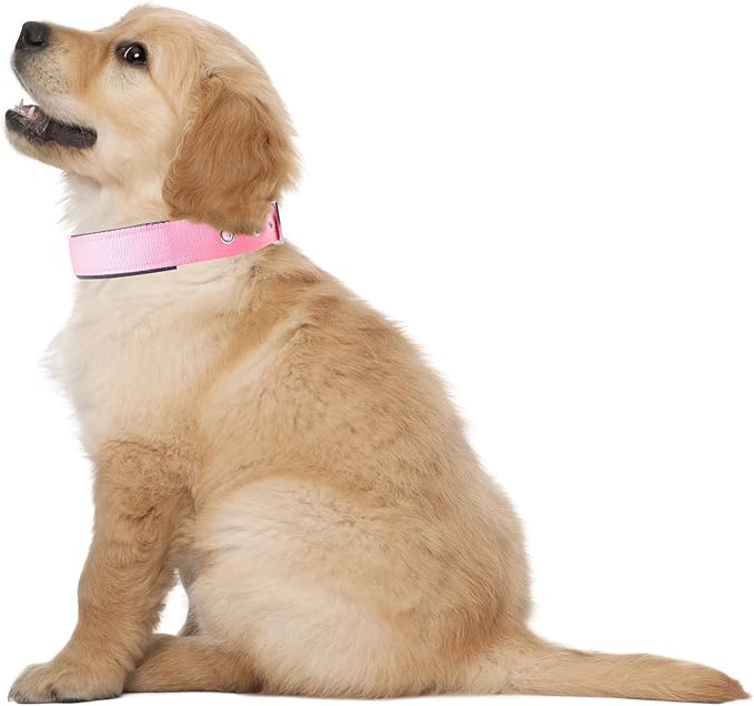 Downtown Pet Supply Deluxe Dog Collar - Padded Adjustable Collar with Metal Buckle & D-Ring - Machine Washable & Water Resistant - Pink - L/Large