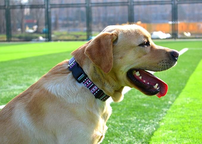 Dog Collar with Bohemia Floral Tribal Geometric Patterns - Soft Ethnic Style Collar Adjustable for Small Medium Large Dogs(Bohemian Purple,S)