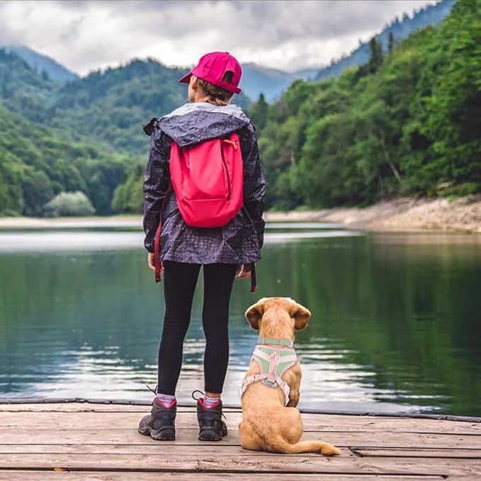 No Pull Dog Harness Adjustable Soft Padded Pet Vest with Control Handle Adorable Daily Harness for Dogs(Mint Green L)