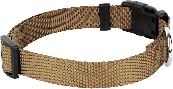 Country Brook Petz - American-Made Dog Collar for Large, Medium, and Small Dogs and Puppies - Deluxe Heavy Duty Nylon in 33 Dazzling Colors (2XS, 3/8 Inch Wide, Coyote Tan)