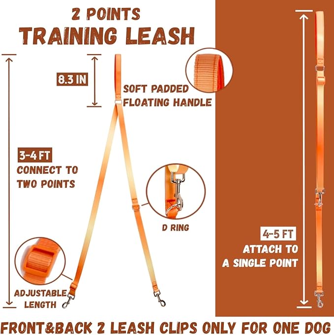DF Martingale No Pull Dog Harness and Two Point Control Training Leash for Dog Walking Only Works with Martingale Harnesses, Orange, Chest 22"-28"