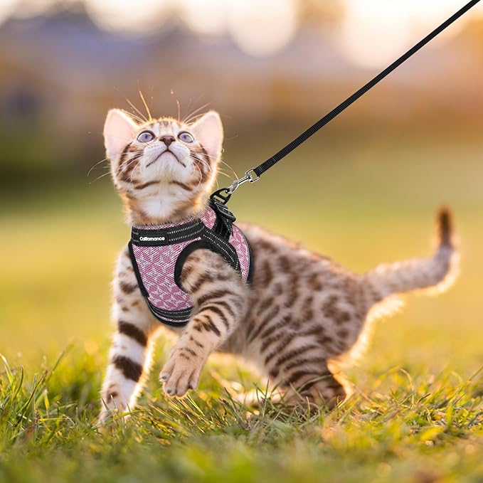 Cat Harness and Leash Escape Proof for Walking, Safe Adjustable Large Kitten Vest Set with Reflective Strip for Kitty, Easy Control Comfortable Soft Outdoor Pet Harnesses, Pink, Large