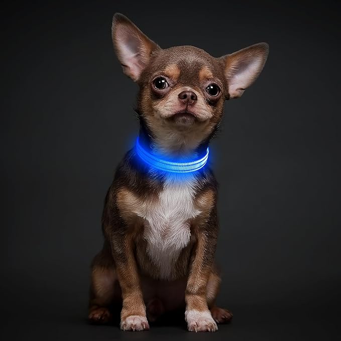 Illumifun LED Collar for Small Dogs - USB Rechargeable Dog Safety Collar Light, Adjustable Nylon Webbing Light Up Collar for Your Pups (Blue, X-Small)