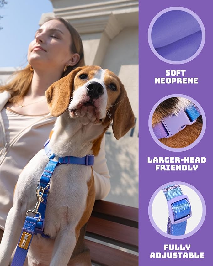 DF Freedom No Pull Martingale Dog Harness and Double-Ended Leash Set, Safety Control to Stop Pulling, Reflective & 5-Point Adjustable, Support Padded Handle, Rainbow Pro, 3/4", Chest 22.4" - 30.4"