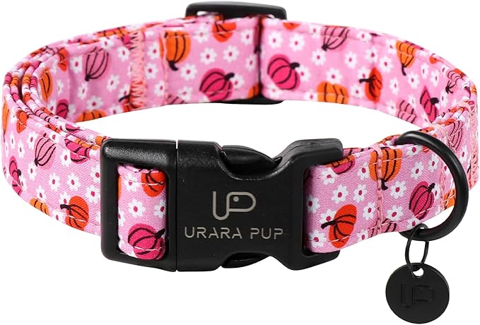Halloween Pumpkin Dog Collar,Lightweight Pink Halloween Puppy Collar with Plastic Buckle,Fancy for Dogs,Suitable for Small Medium Large Girl or Boy Dogs