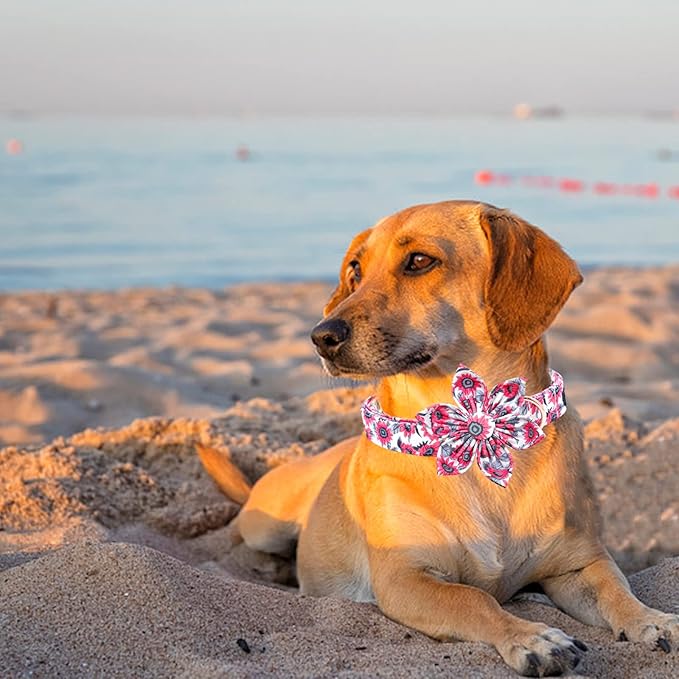 Lionheart glory Dog Collar with Flower Pink Dog Collars for Female Dogs Soft Durable Adjustable Collar Flower Spring Collar Dog Bow for Medium Dogs