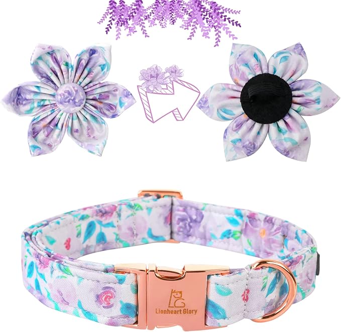 Lionheart Glory Dog Collar - Purple With Flower, Cute Floral Pattern, Adjustable for X-Large Dogs