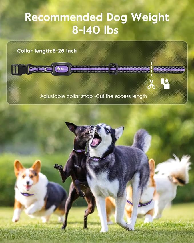 Dog Shock Collar,4200FT Dog Training Collar with Remote,IPX8 Waterproof E-Collar with Beep,Vibration,Shock,Flash Light,No Shock Mode,Electric Shock Collar for Small Medium Large Dog,Purple