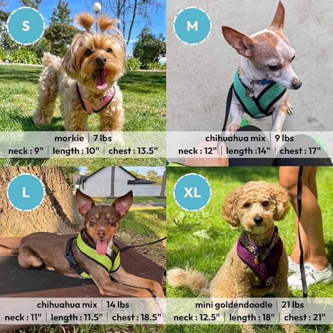 Gooby Orange X-Large Comfort X Head in Harness - No Pull, Choke-Free, Lightweight Mesh, Machine Washable for Small to Medium Dogs