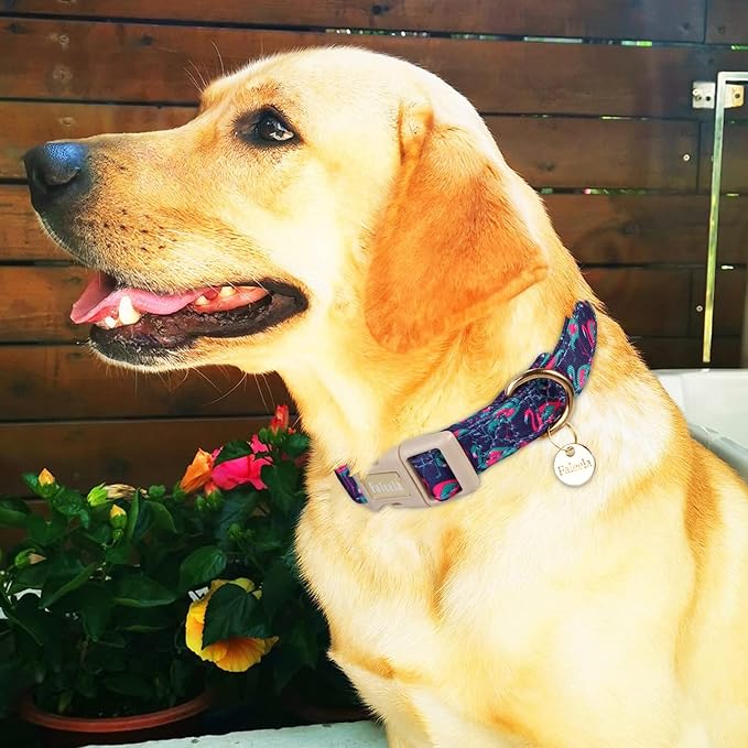 Faleela Dog Collar - Cute & Comfy Cotton Pet Collar, Adjustable Lightweight Design with Quick-Release Buckle, for Small, Medium & Large Dogs - Multiple Styles Available (Flamingo, Small)